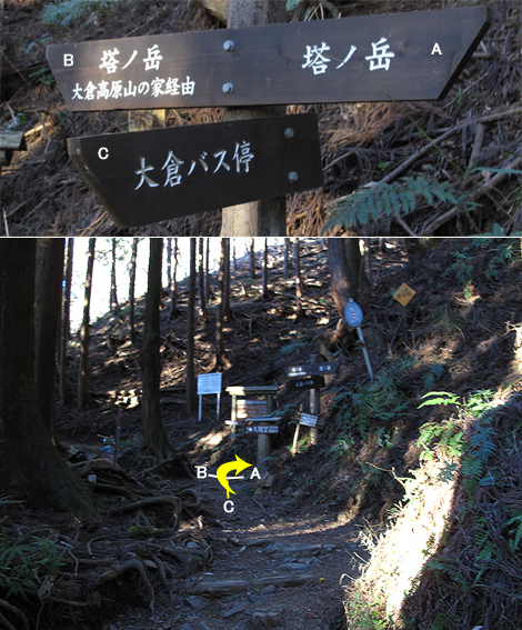 20170118hike (22)